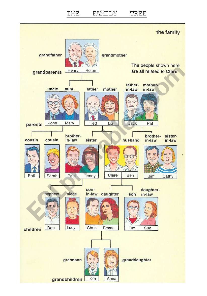 the family tree worksheet