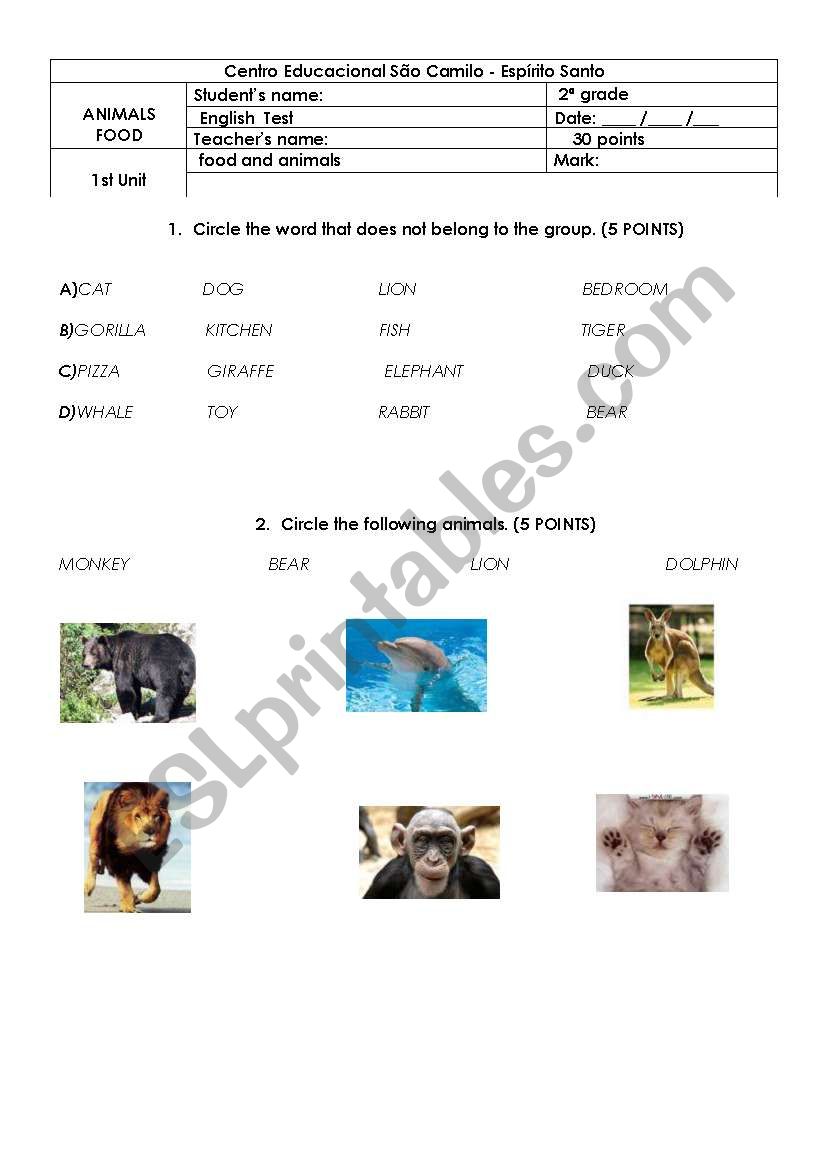  Animals and food worksheet