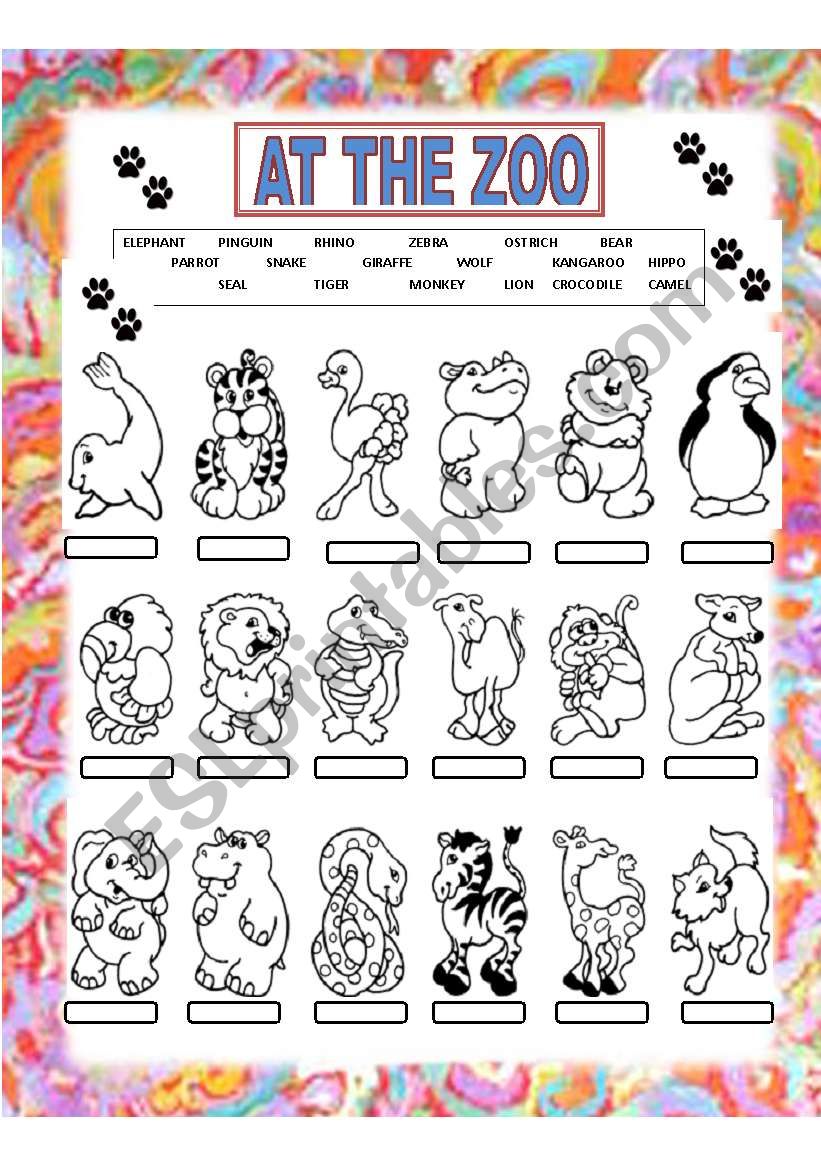 at the zoo worksheet