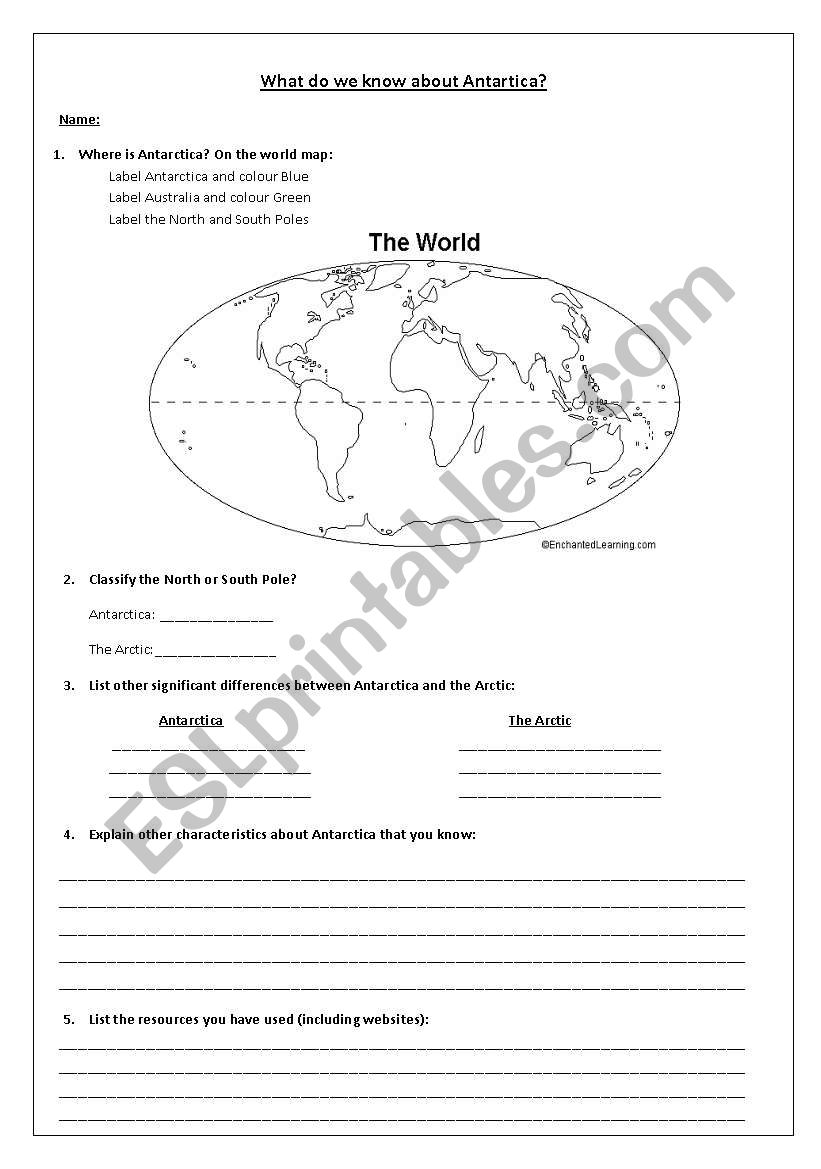 student-activity-sheet-food-web-yahoo-search-results-food-web-food