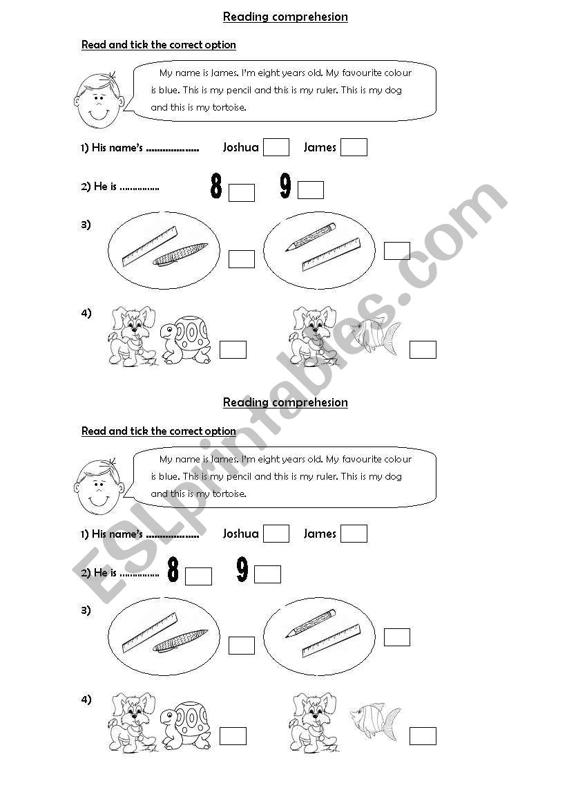 Reading comprehension worksheet