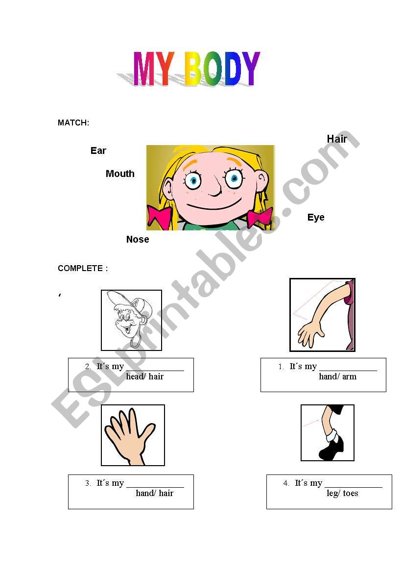 parts of the body worksheet