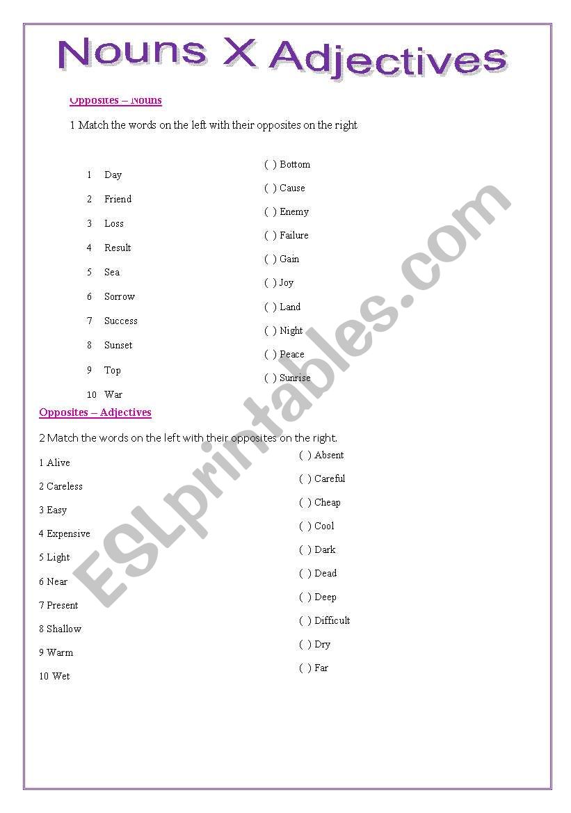 Nouns X Adjectives  worksheet