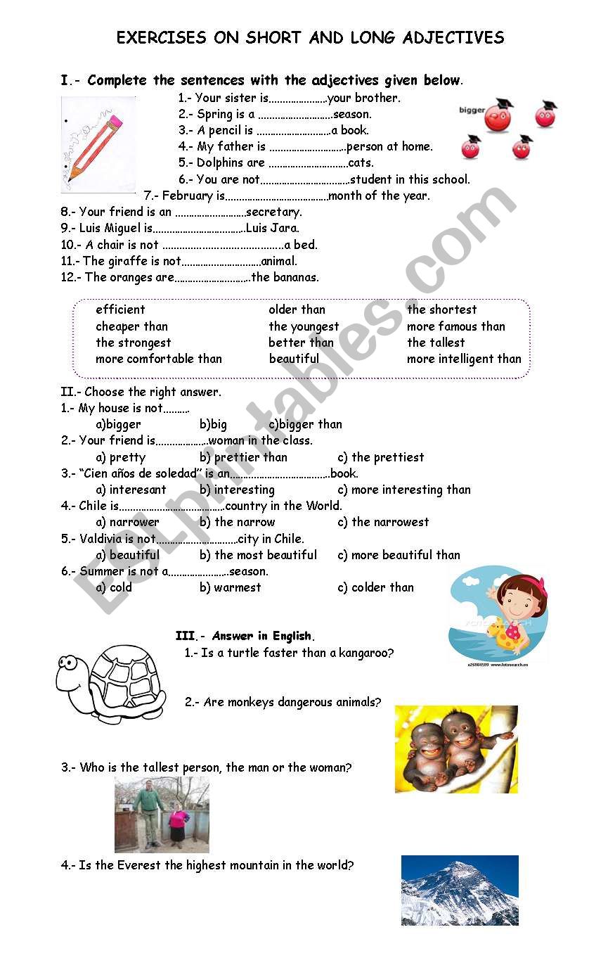 SHORT AND LONG ADJECTIVES worksheet