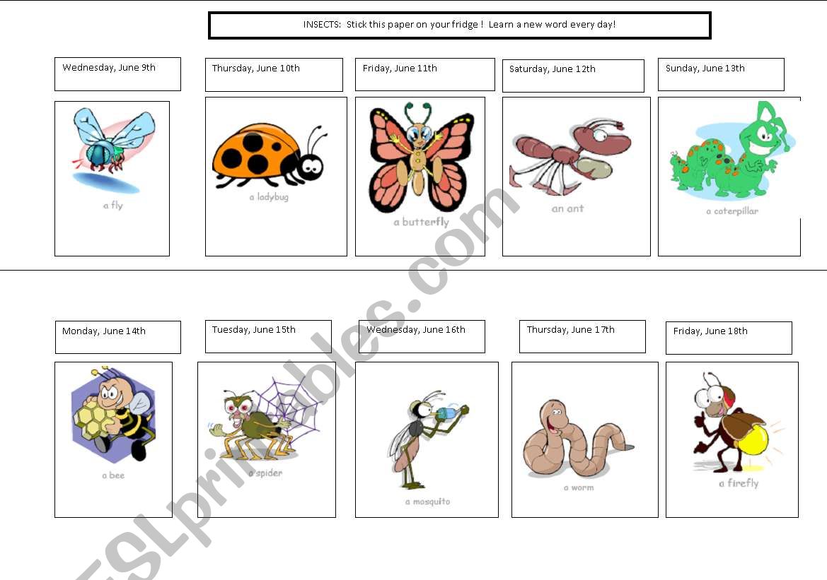 Insect calendar worksheet