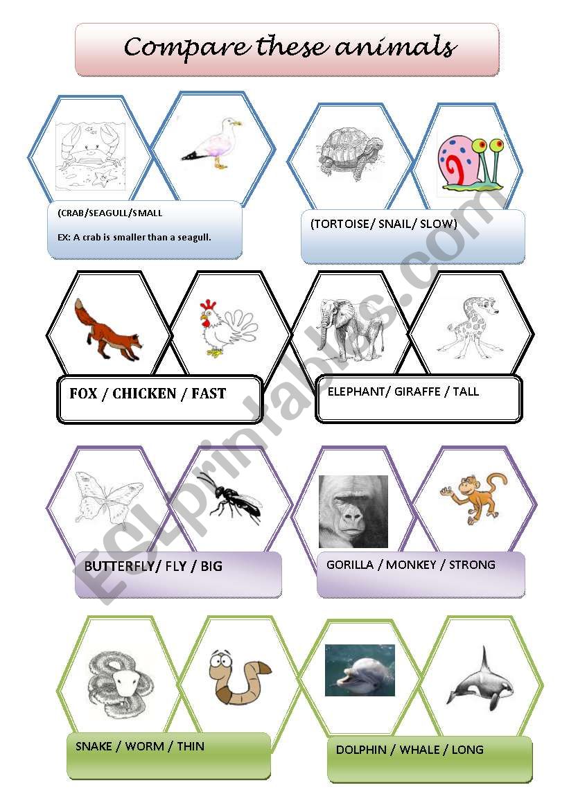 COMPARING ANIMALS worksheet