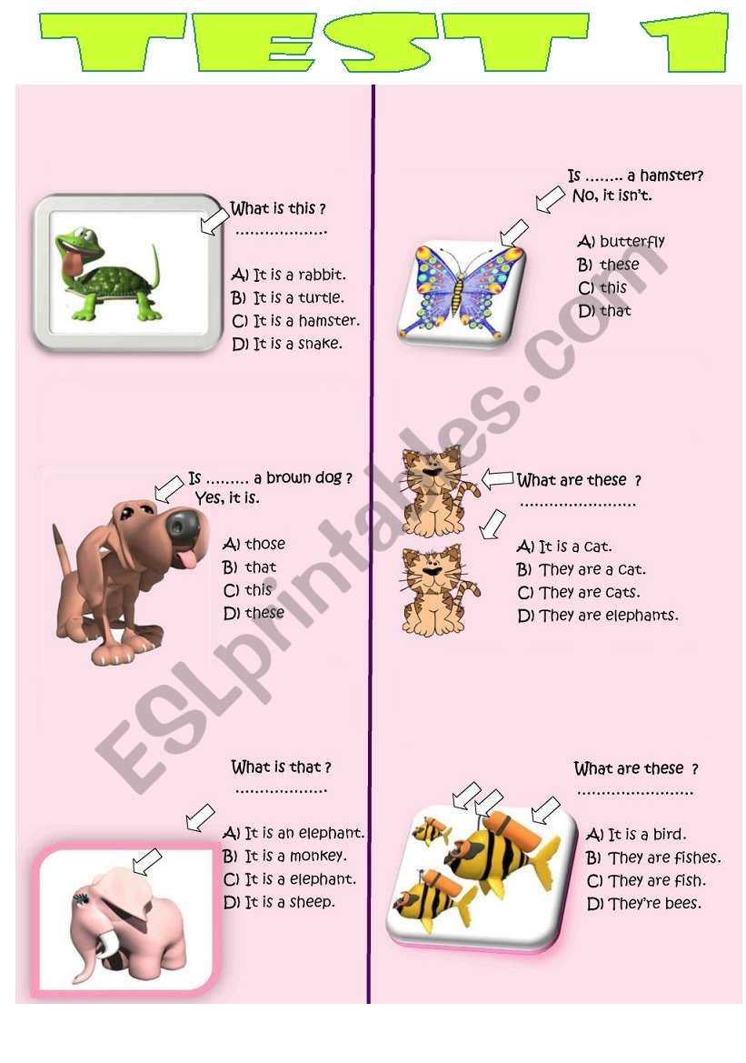 TEST 1 worksheet