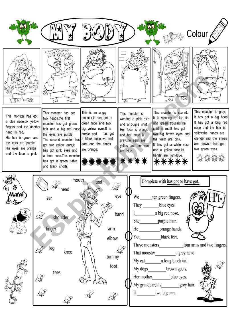 parts of the body, worksheet