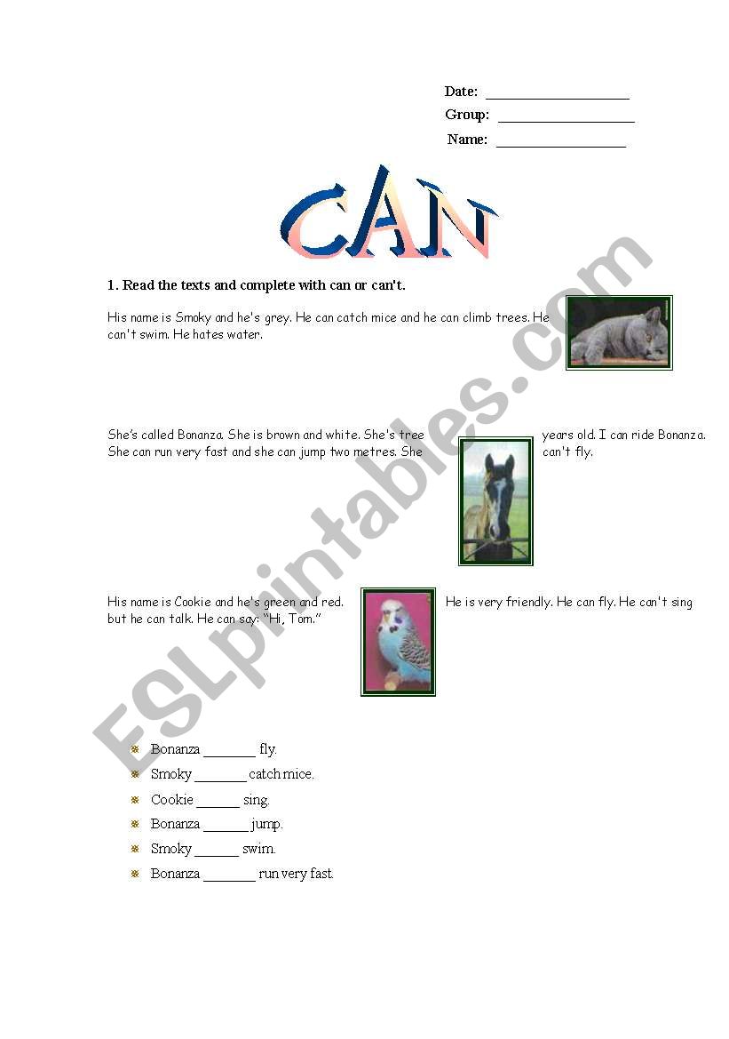 CAN worksheet