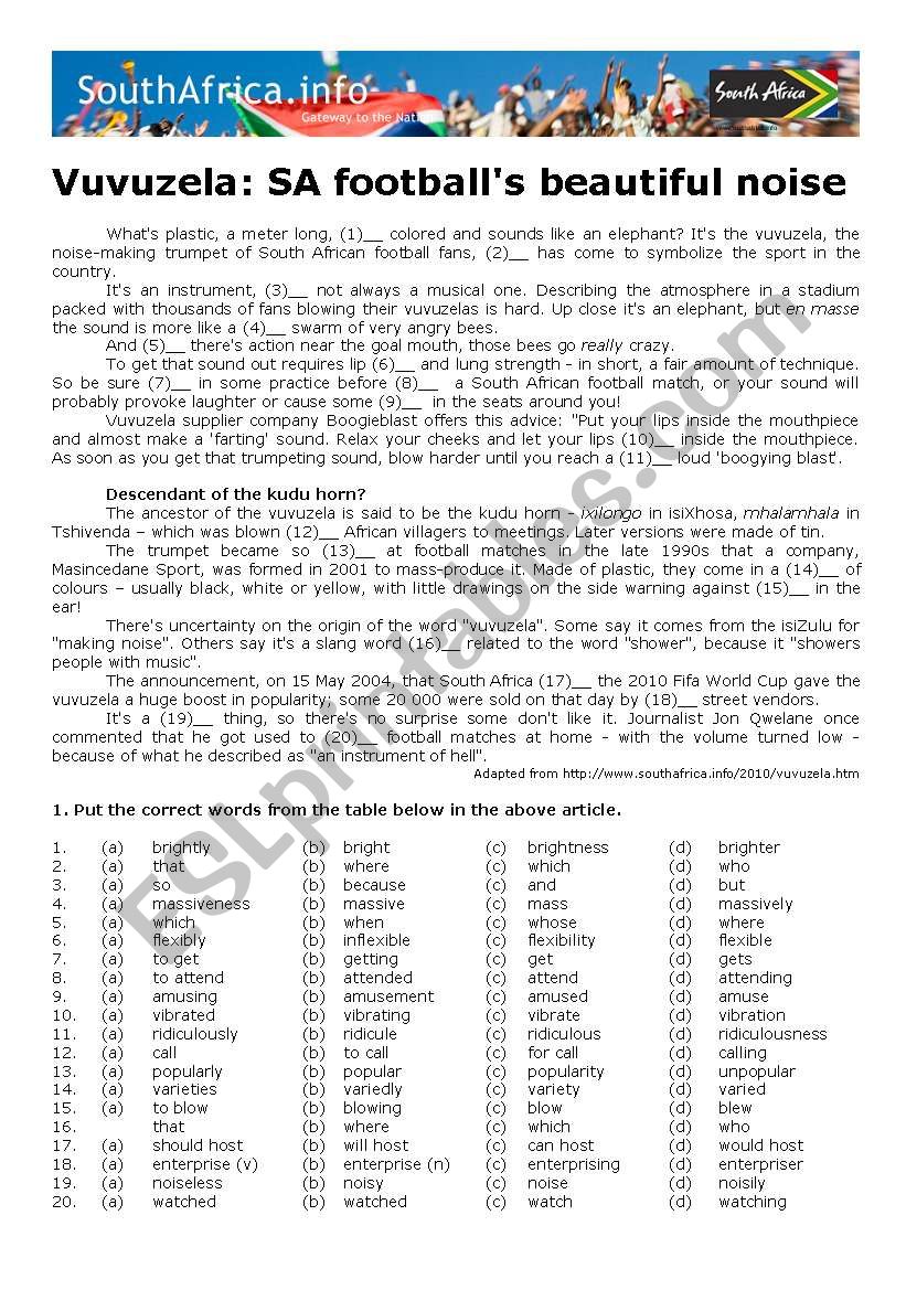 Vuvuzela: SA footballÂ´s beautiful noise