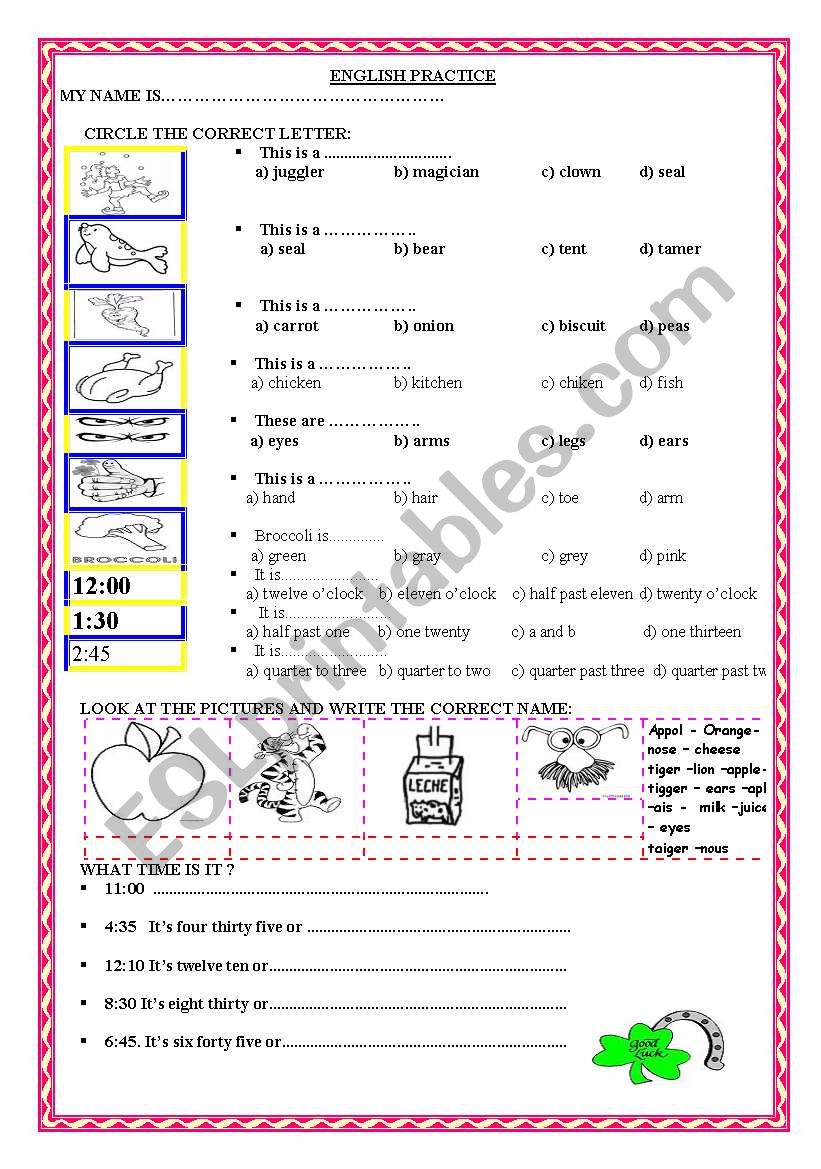 BASIC VOCABULARY PRACTICE worksheet