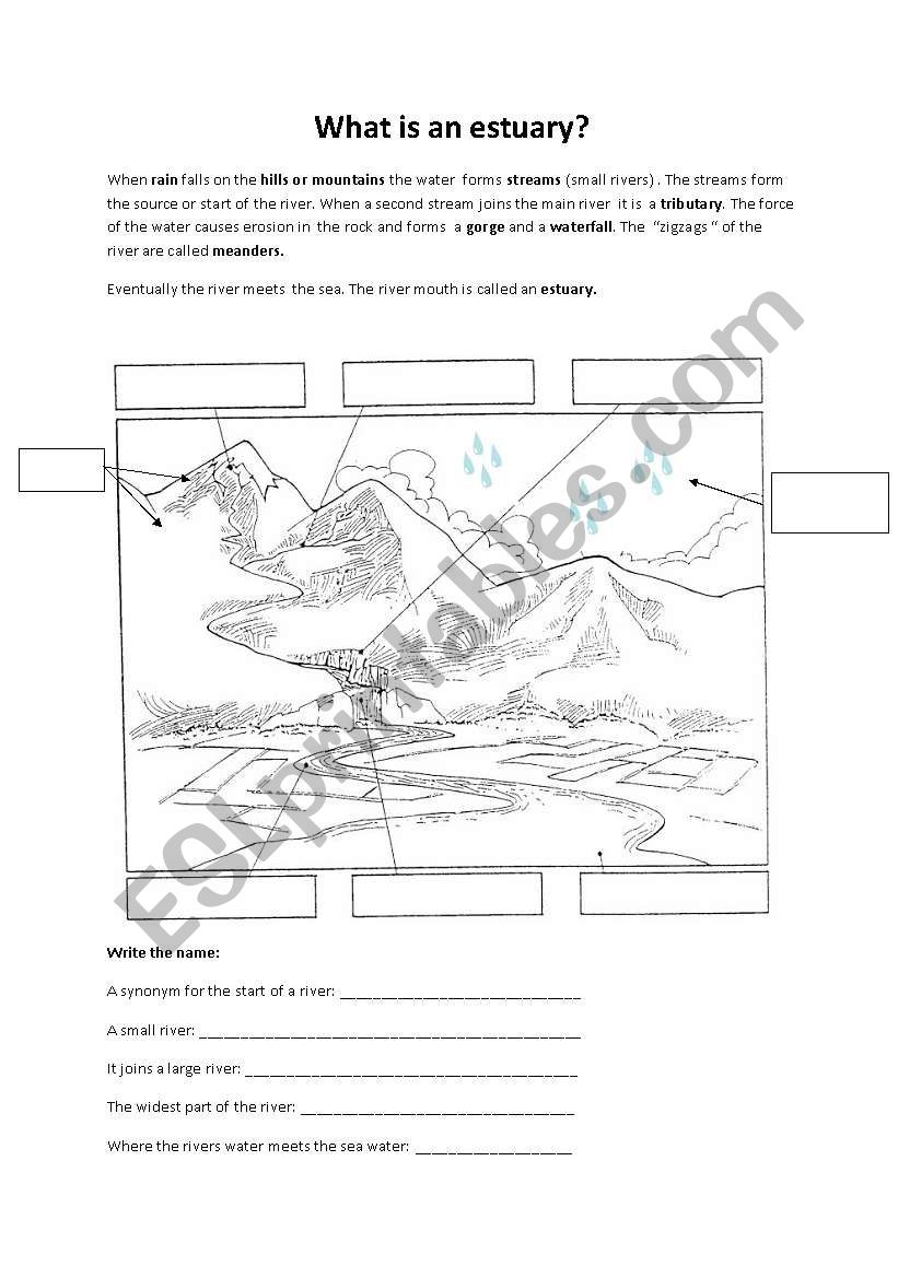 What is an estuary?   worksheet