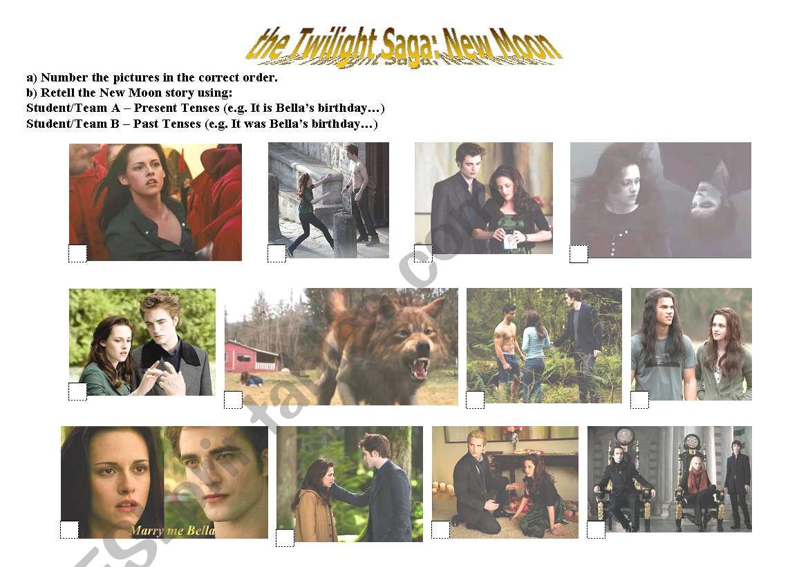 The Twilight Saga: New Moon worksheet