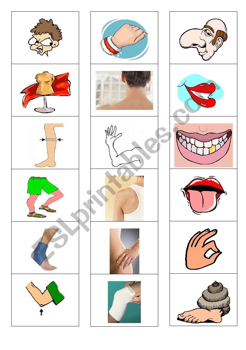 parts of the body memory game worksheet
