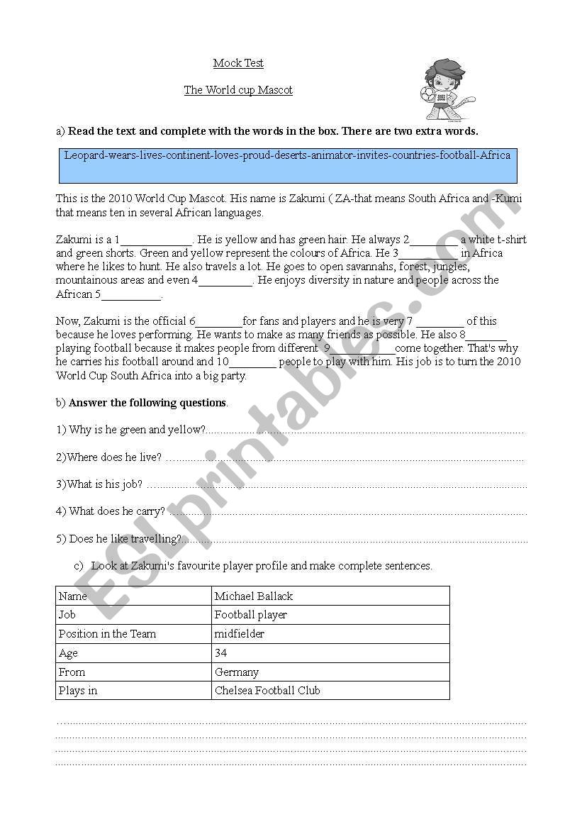2010 Football Wold Cup worksheet