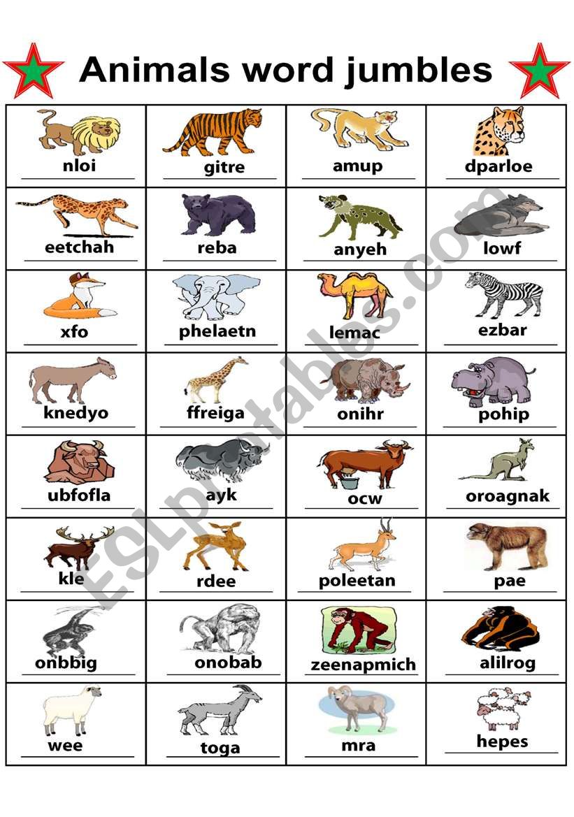 animal word jumbles worksheet