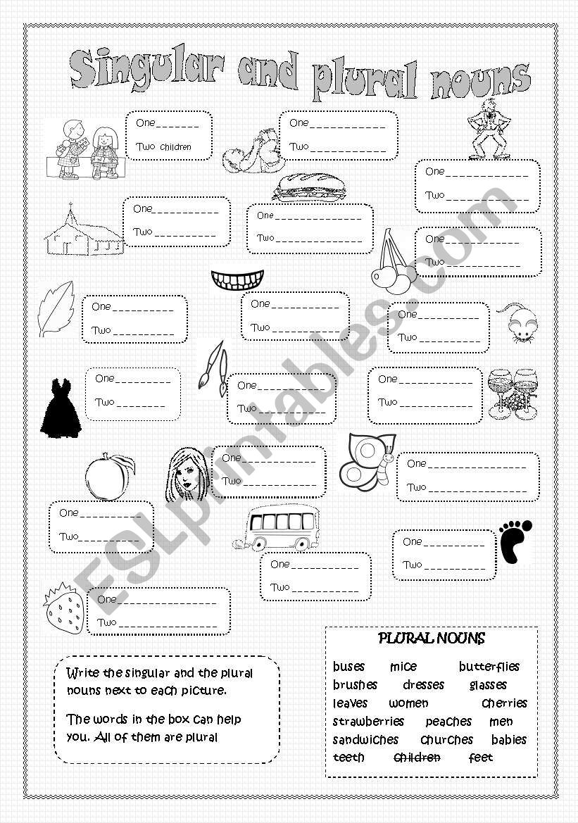 Singular and plural nouns worksheet