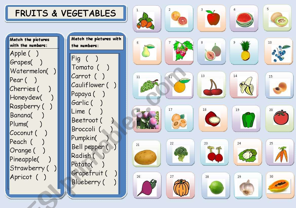 FRUITS & VEGETABLES worksheet