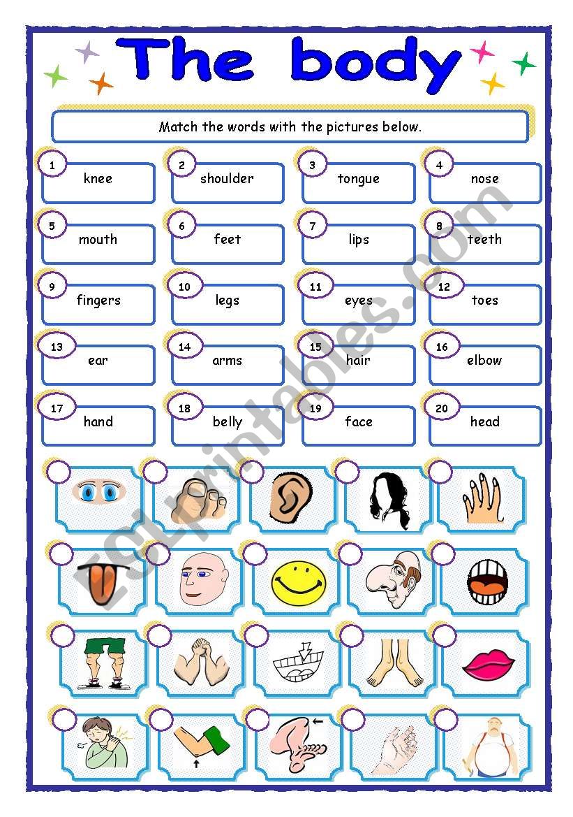 Parts of the body - matching worksheet