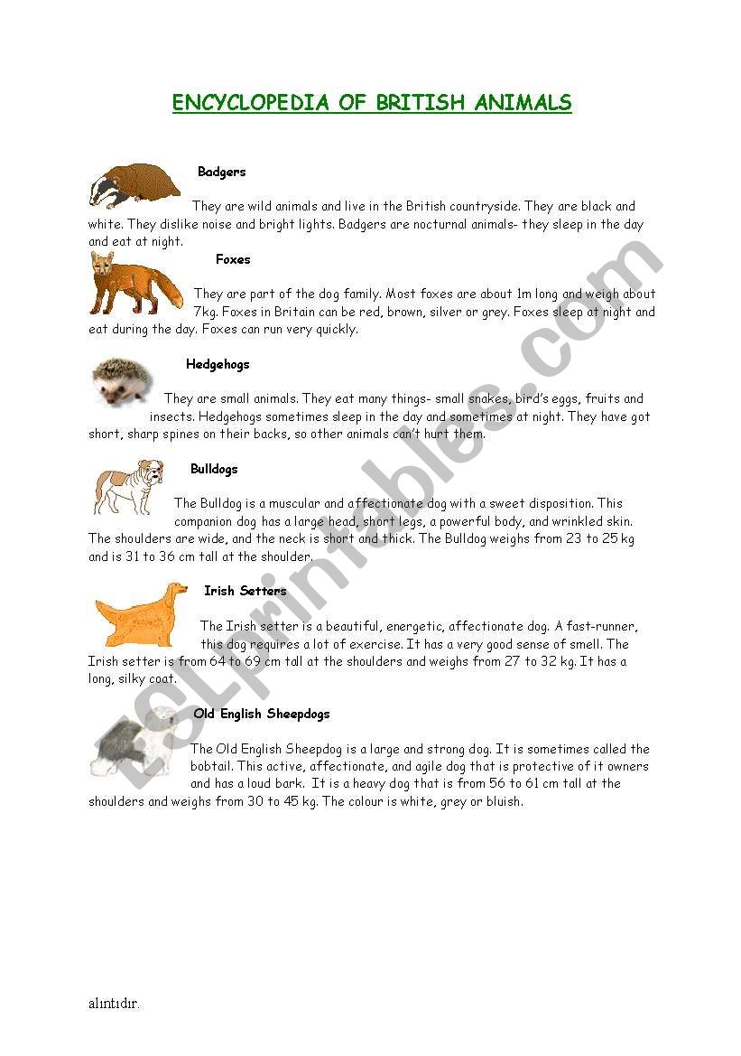 animals worksheet