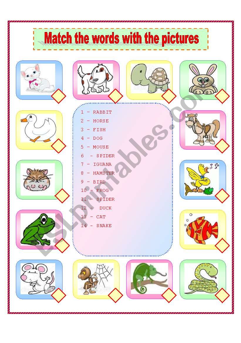 Match the animals names to the pictures
