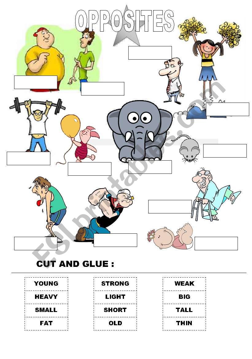 OPPOSITES worksheet