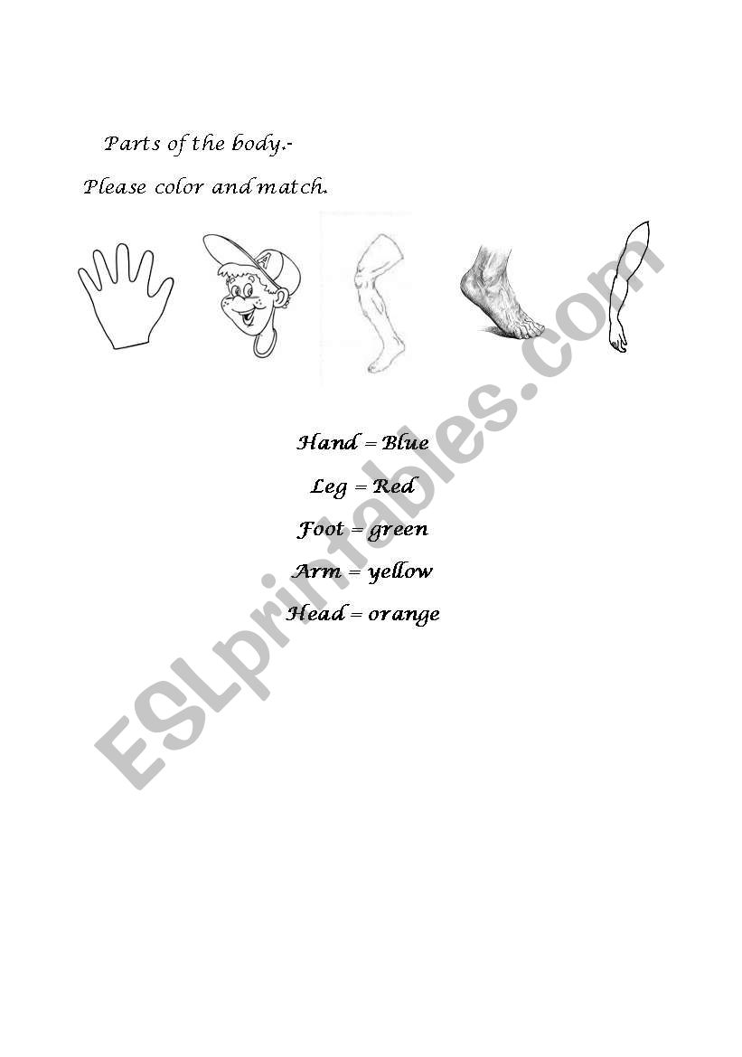 Body Parts worksheet