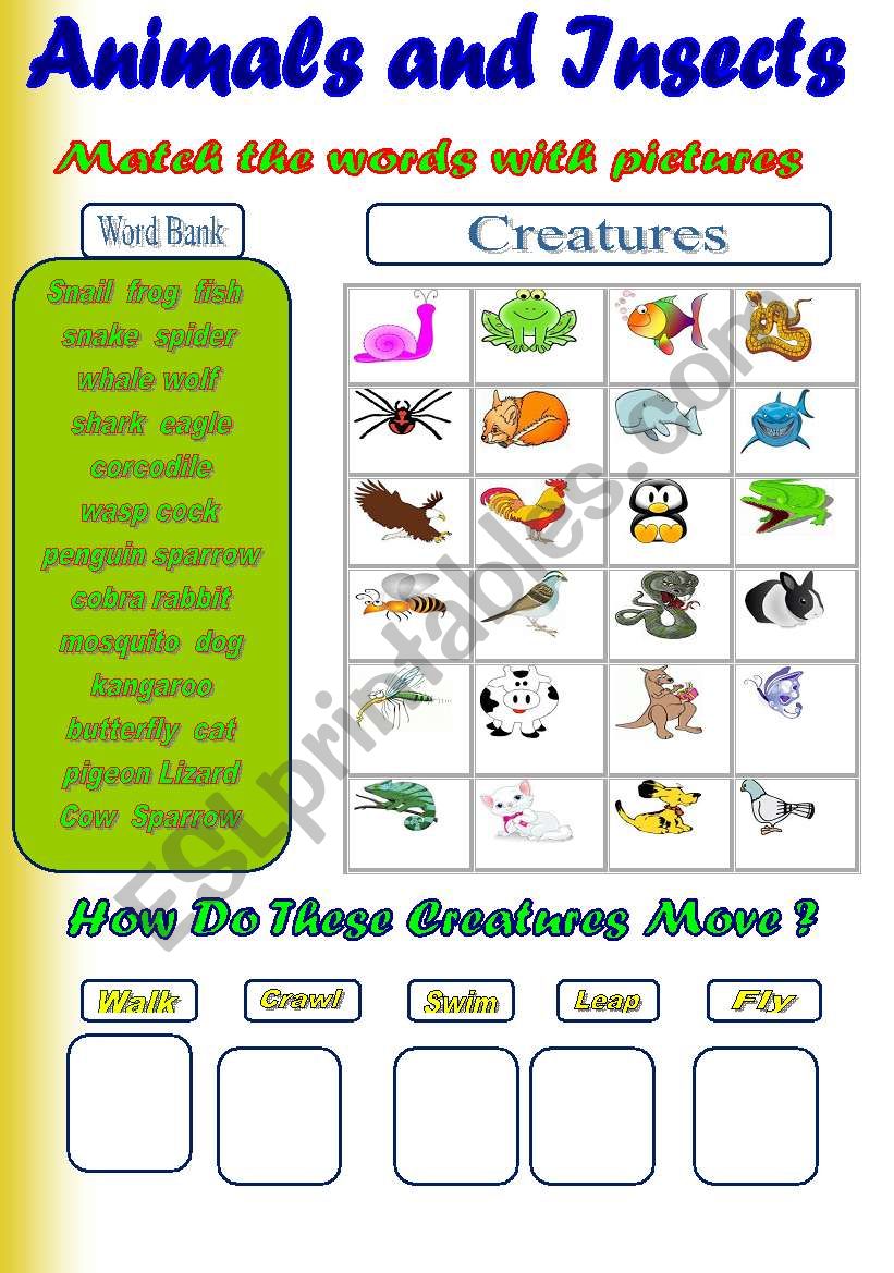 Animals and Insects ( 2 activities)