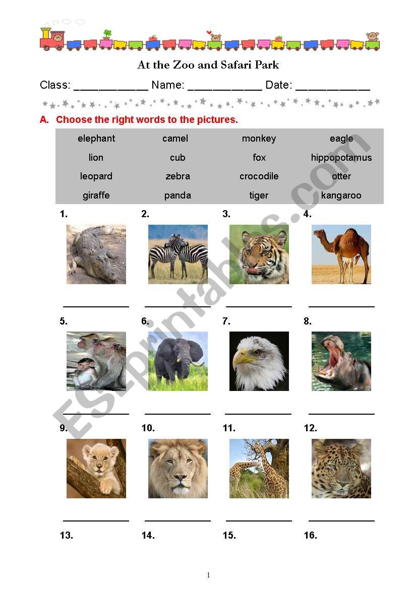 At the Zoo and Safari Park worksheet