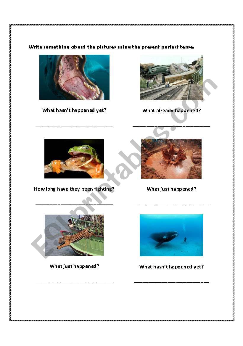 Present Perfect - Describe pictures