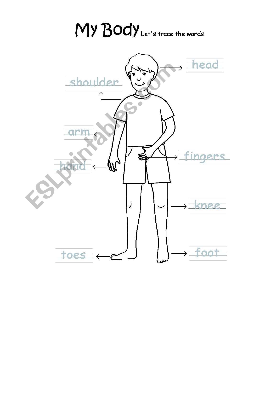 Body part worksheet