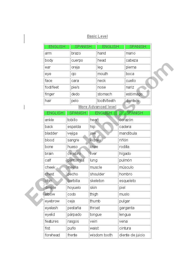 Body Parts worksheet