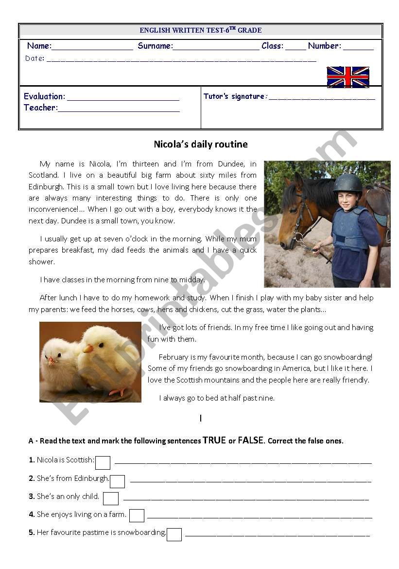 NicolaÂ´s daily routine worksheet