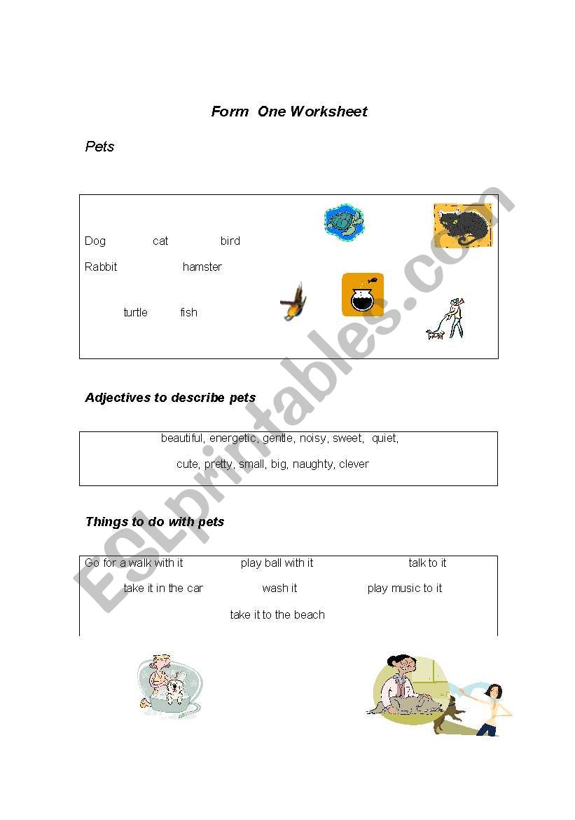 animas worksheet