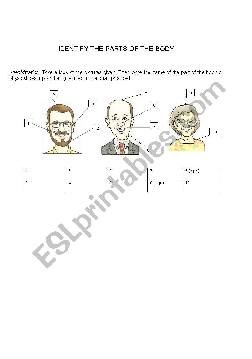 Parts of the body worksheet