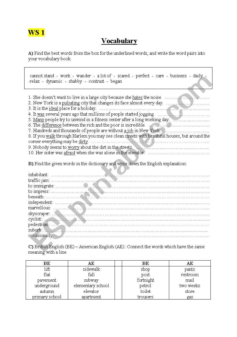 Vocabulary  worksheet