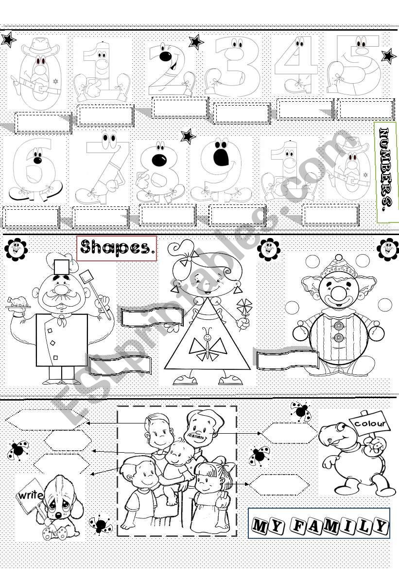 numbers,shapes and family worksheet