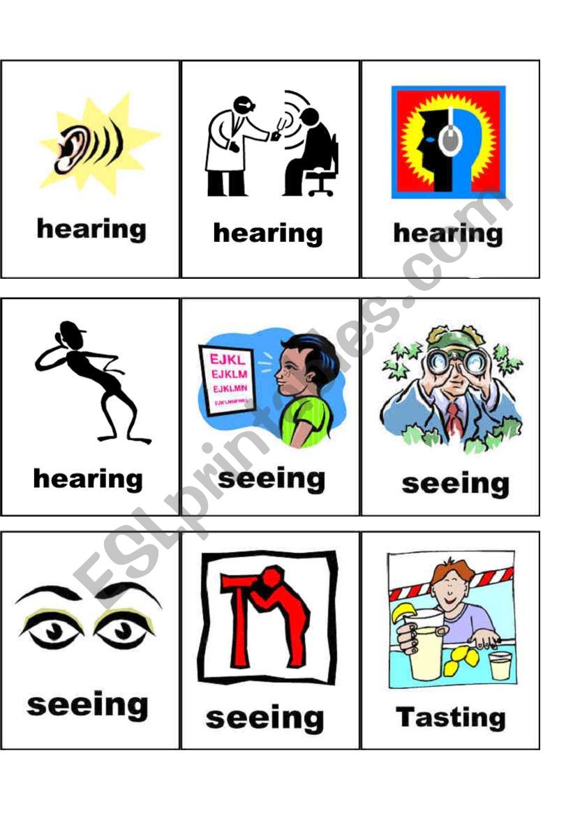 flashcards - senses worksheet