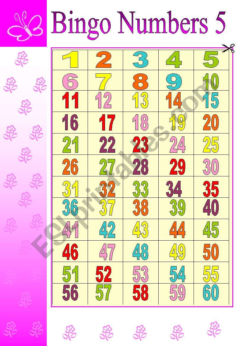 BINGO  NUMBERS (5/6) worksheet