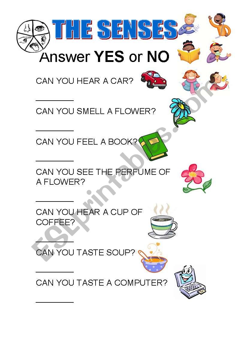 ANSWER YES OR NO worksheet