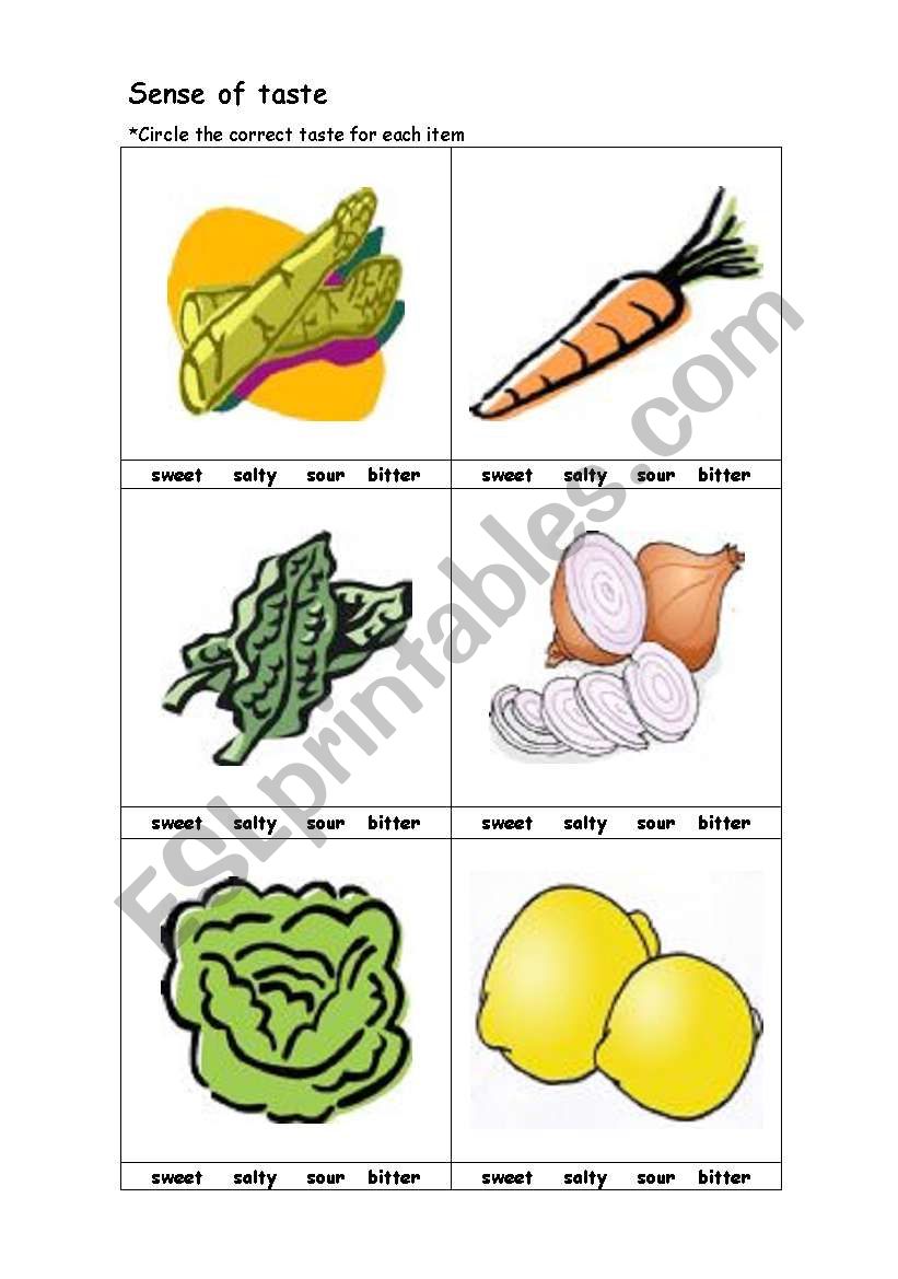 sense of taste worksheet