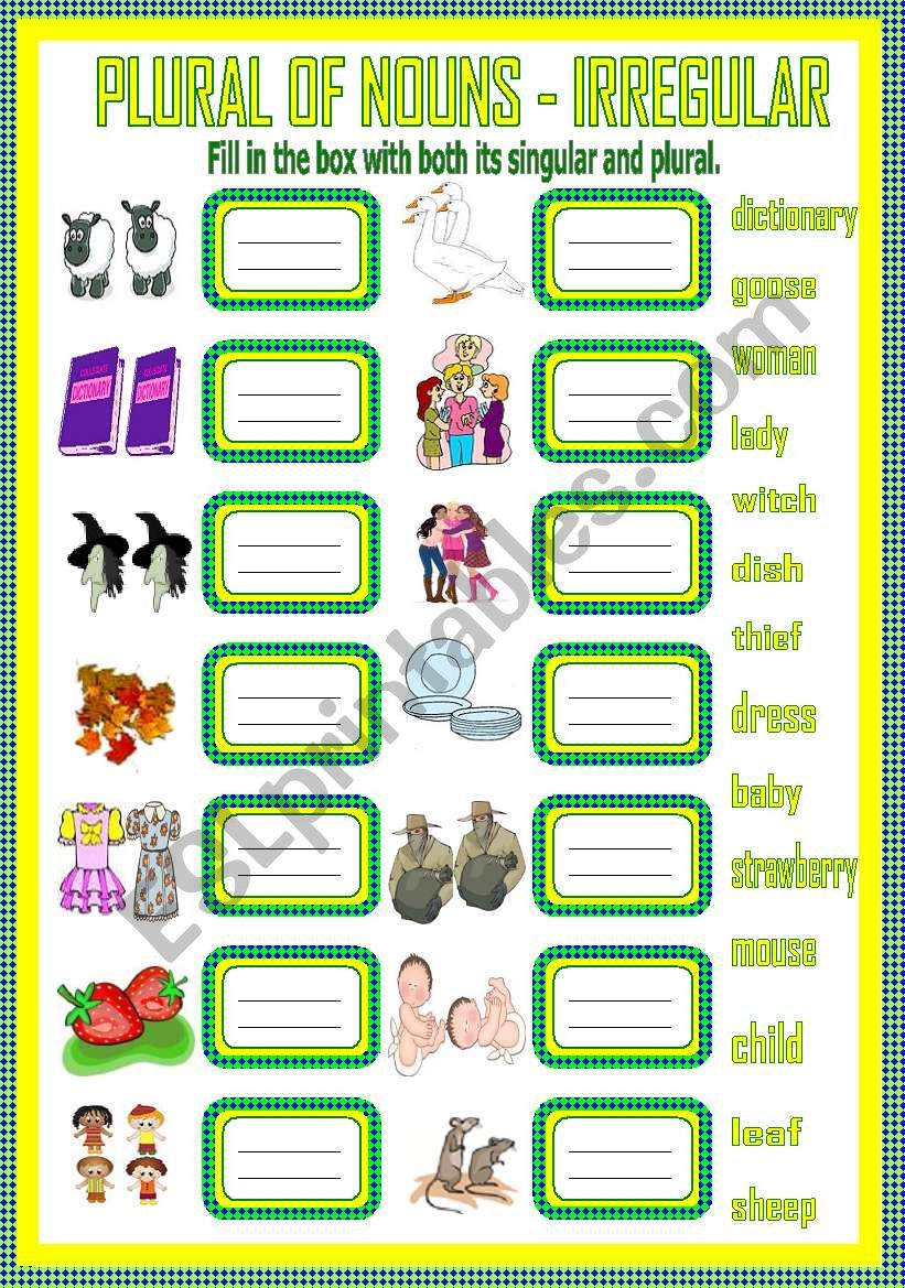 Plural of Nouns - Irregular worksheet