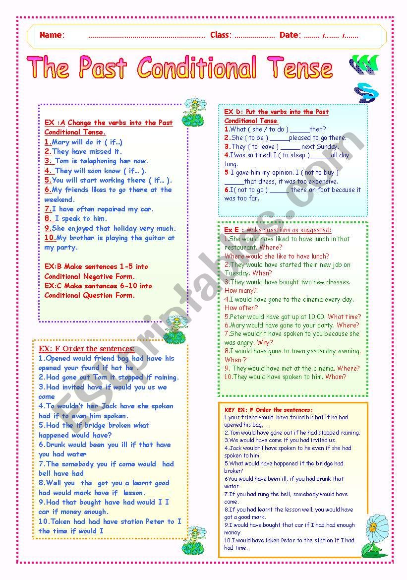 THE PAST CONDITIONAL TENSE WS worksheet