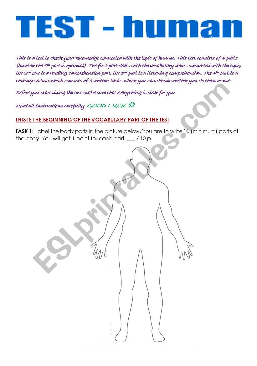 test - human worksheet