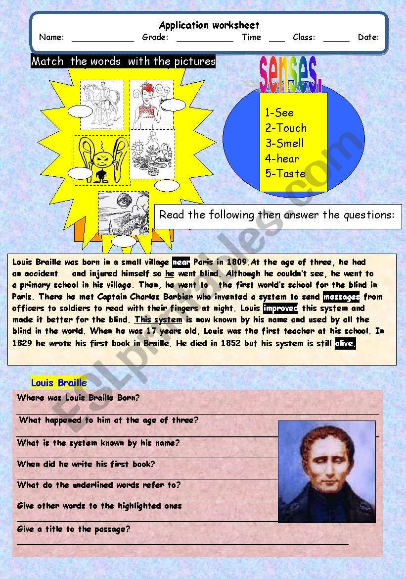 The five senses worksheet