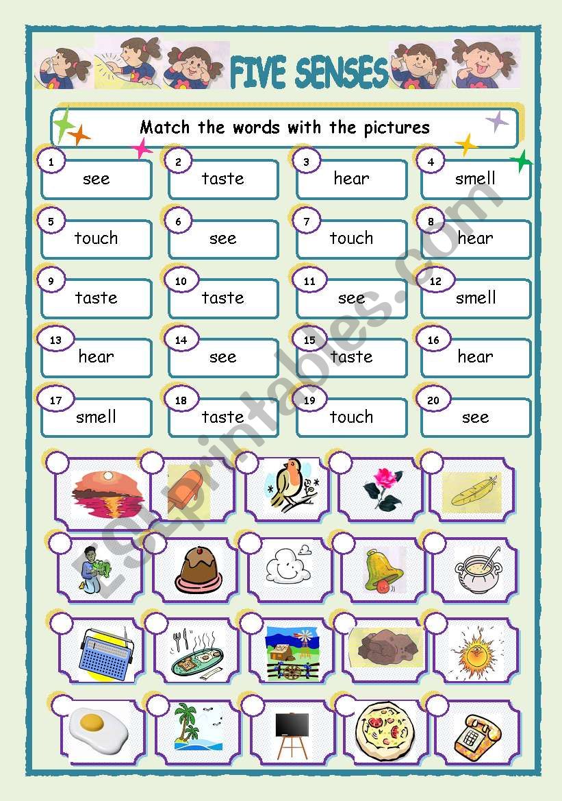 FIVE SENSES  worksheet