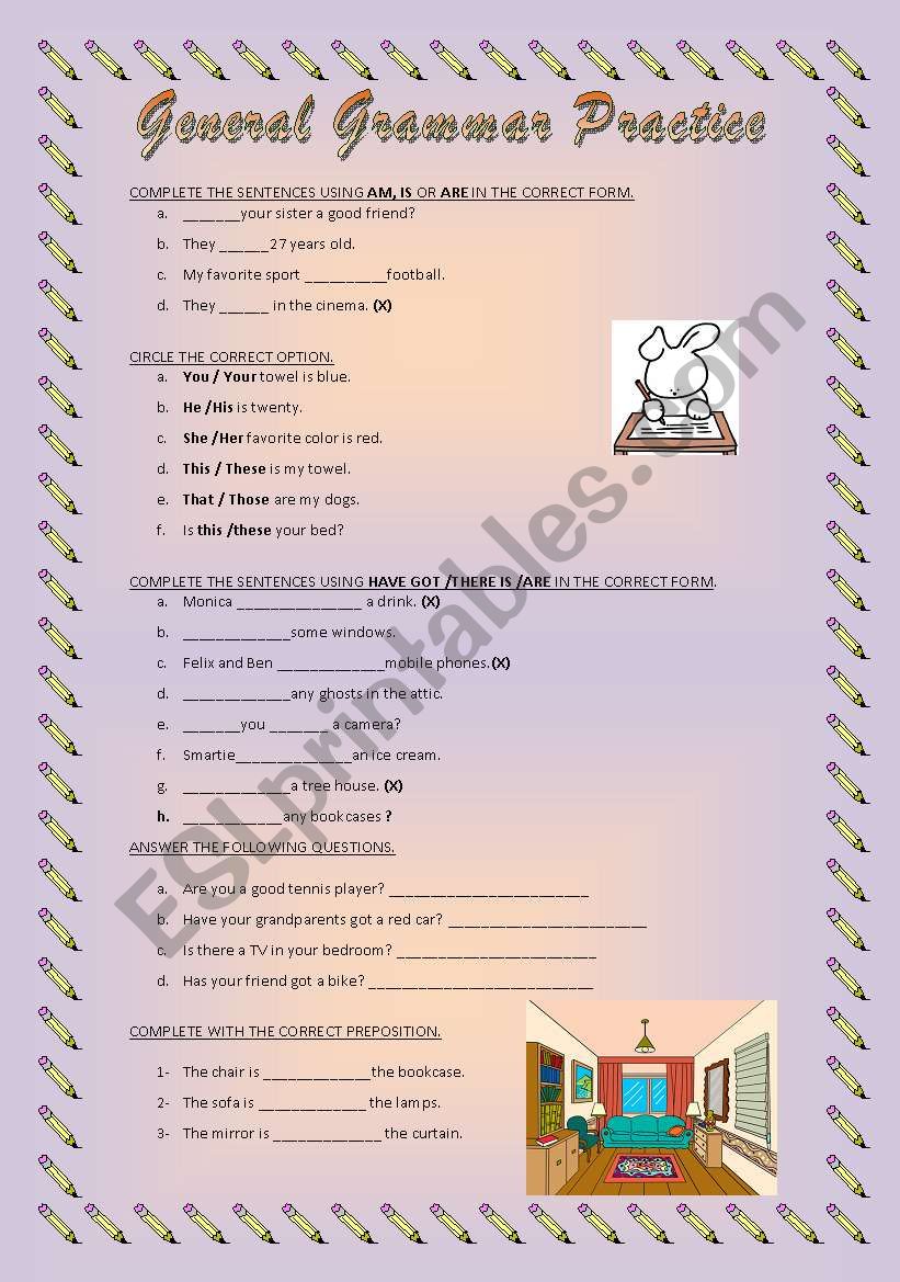 General Grammar Practice worksheet