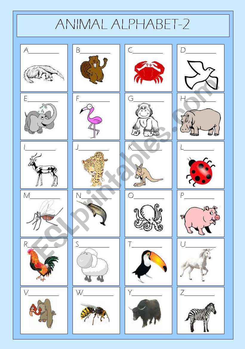 Animal Alphabet 2 worksheet