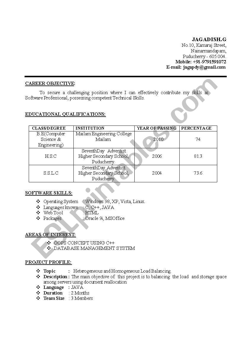 sample resume worksheet