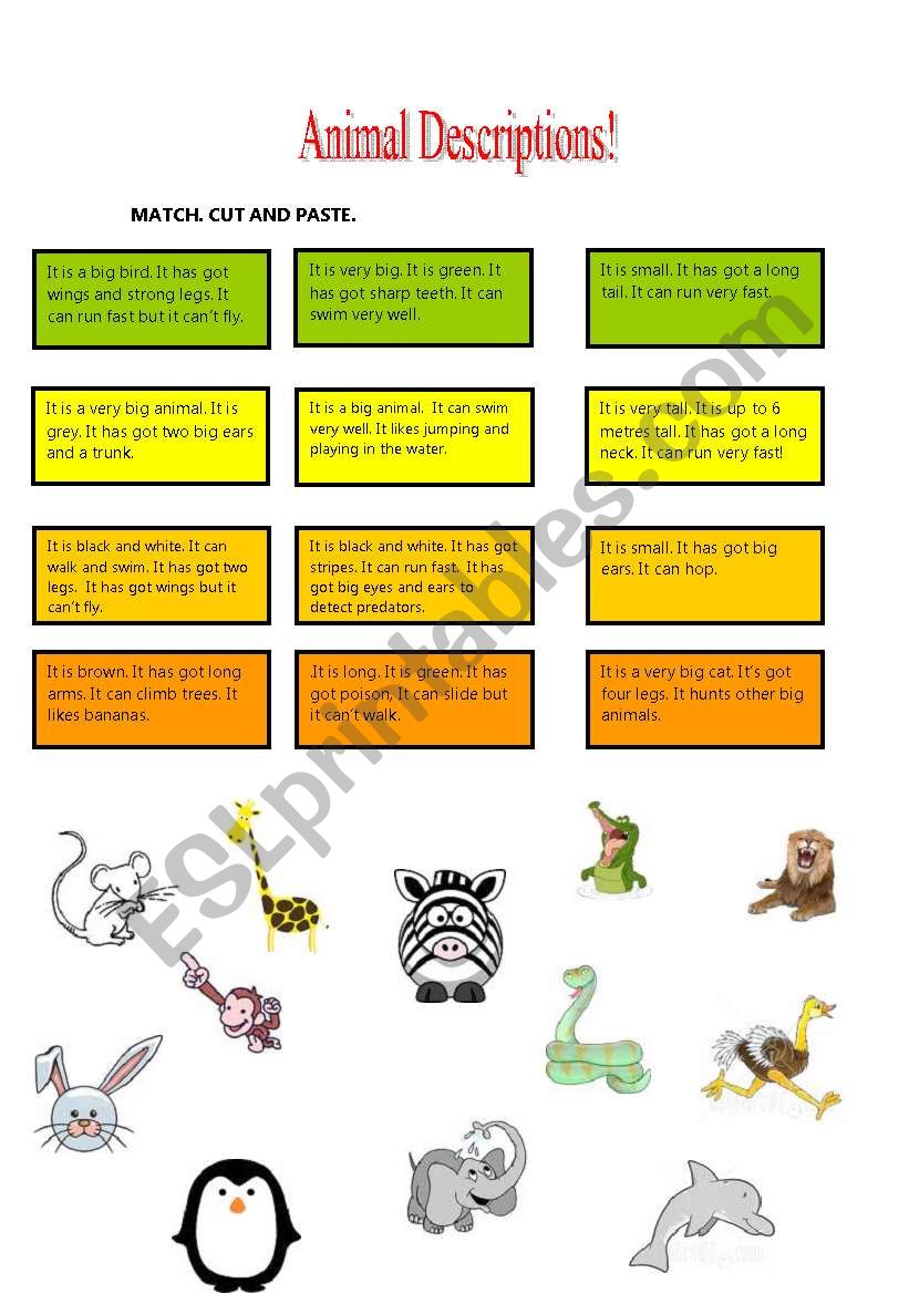 Animal description worksheet